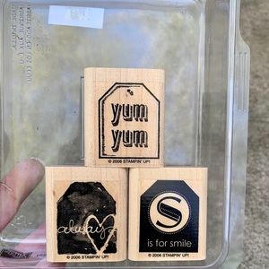 2 for $15 - Stampin’ Up! Too Terrific Tags